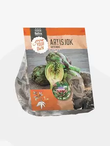 Artisjok per 1