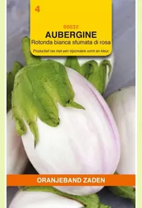 Aubergine Rotonda bianca sfumata di rosa Oranjeband - afbeelding 1