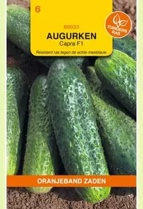 Augurken Profi (vh Capra) F1 Oranjeband - afbeelding 1