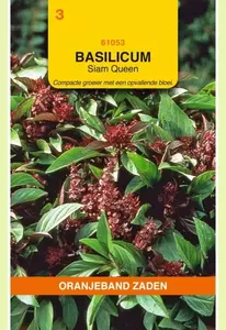 Basilicum Siam Queen Oranjeband - afbeelding 1