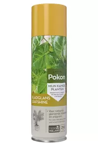 Bladglans 250ml Pokon