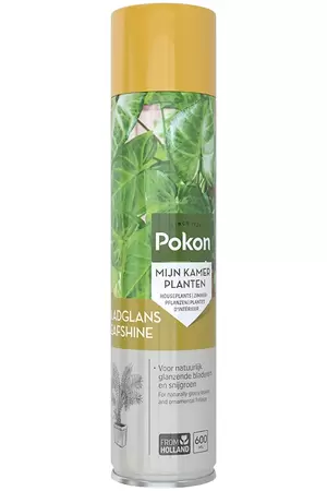 Bladglans 600ml Pokon