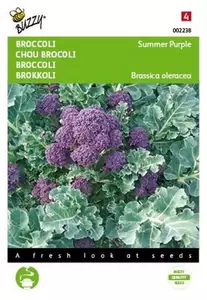 Broccoli Calabrese natalino, groen Buzzy Seeds - afbeelding 1