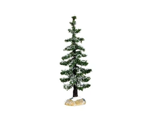 Blue spruce tree small