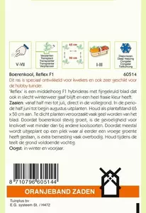 Boerenkool Reflex F1 (wordt Winterbor F1) Oranjeband - afbeelding 2