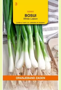 Bosui White Lisbon Oranjeband - afbeelding 1