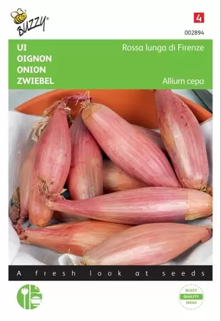 Ui Noordhollandse Bloedrode Buzzy Seeds - afbeelding 1