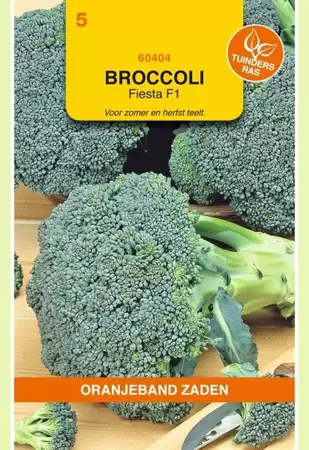 Broccoli Fiesta F1 Oranjeband - afbeelding 1