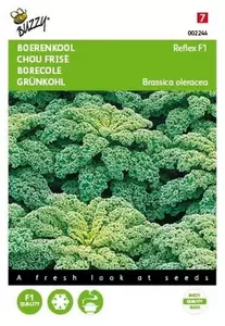 Broccoli Marathon F1 Buzzy Seeds - afbeelding 1