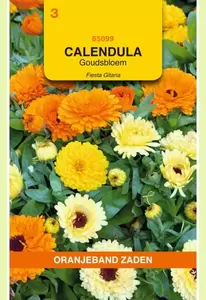 Calendula, Goudsbloem Fiesta Gitana Oranjeband - afbeelding 1