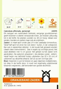 Calendula, Goudsbloem gemengd Oranjeband - afbeelding 2