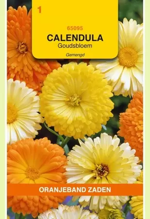 Calendula, Goudsbloem gemengd Oranjeband - afbeelding 1
