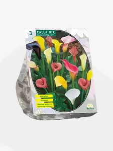 Calla Zantedeschia Gemengd per 3