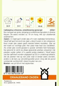 Callistephus, Aster enkelbloemig gemengd Oranjeband - afbeelding 2