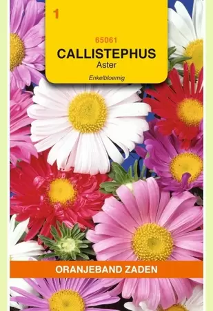 Callistephus, Aster enkelbloemig gemengd Oranjeband - afbeelding 1