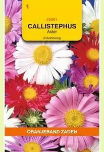 Callistephus, Aster enkelbloemig gemengd Oranjeband - afbeelding 1