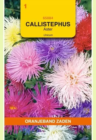 Callistephus, Aster Unicum gemengd Oranjeband - afbeelding 1