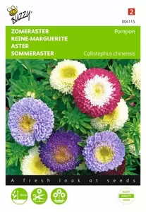 Callistephus, Zomeraster enkelbloemig gemengd Buzzy Seeds - afbeelding 1