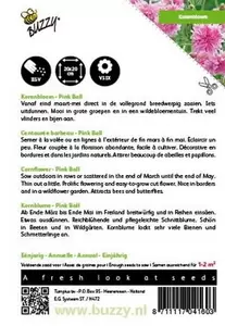 Celosia, Pluimhanekam Ice Cream gemengd Buzzy Seeds - afbeelding 2