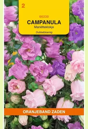 Campanula , Mariëtteklokje dubbelbloemig gemengd Oranjeband - afbeelding 1