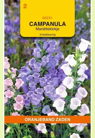 Campanula, Mariëtteklokje enkelbloemig gemengd Oranjeband - afbeelding 1