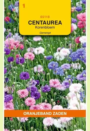 Centaurea, Korenbloem dubbelbloemig gemengd Oranjeband - afbeelding 1