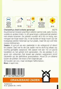 Cheiranthus, Muurbloem enkelbloemig gemengd Oranjeband - afbeelding 2