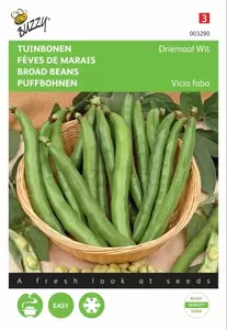 Kouseband paars Buzzy Seeds - afbeelding 1