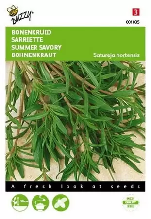 Bieslook Grove Buzzy Seeds - afbeelding 1