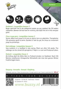 Rode kool Roodkop Buzzy Seeds - afbeelding 2