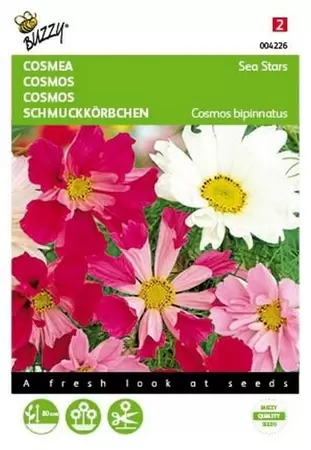 Cosmos, Cosmea Sensation gemengd Buzzy Seeds - afbeelding 1
