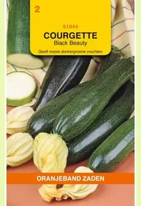 Courgette Black Beauty Oranjeband - afbeelding 1