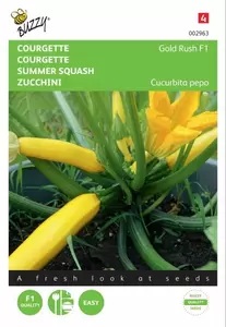 Courgette Diamant F1 Buzzy Seeds - afbeelding 1
