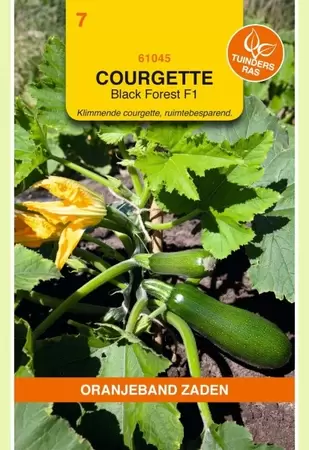 Courgette Klimmend Black Forest F1 Oranjeband - afbeelding 1