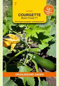 Courgette Klimmend Black Forest F1 Oranjeband - afbeelding 1