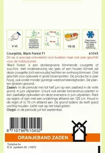 Courgette Klimmend Black Forest F1 Oranjeband - afbeelding 2