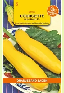 Courgette Gold Rush F1 Oranjeband - afbeelding 1