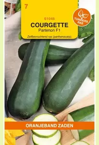 Courgette Partenon F1 Oranjeband - afbeelding 1