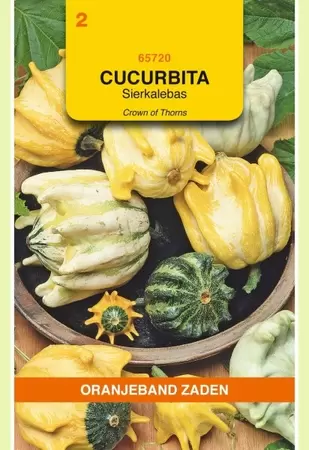 Cucurbita, Sierkalebas Crowns Of Thorns gemengd Oranjeband - afbeelding 1