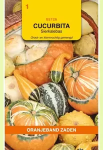 Cucurbita, Sierkalebas groot- en kleinvruchtig gemengd Oranjeband - afbeelding 1