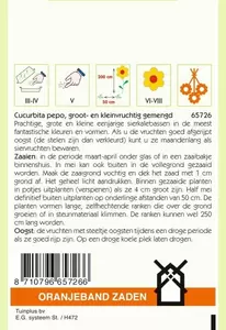 Cucurbita, Sierkalebas groot- en kleinvruchtig gemengd Oranjeband - afbeelding 2