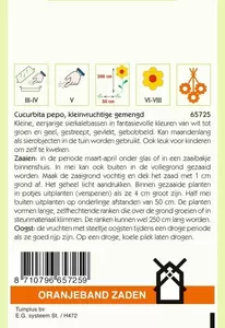 Cucurbita, Sierkalebas kleinvruchtig gemengd Oranjeband - afbeelding 2