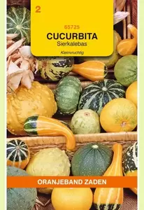 Cucurbita, Sierkalebas kleinvruchtig gemengd Oranjeband - afbeelding 1