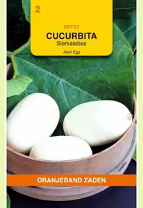 Cucurbita, Sierkalebas Nest Egg Oranjeband - afbeelding 1