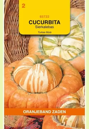 Cucurbita, Sierkalebas Turkse Muts Oranjeband - afbeelding 1