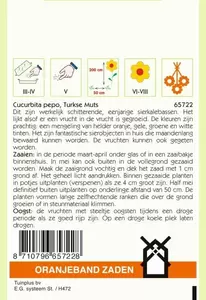 Cucurbita, Sierkalebas Turkse Muts Oranjeband - afbeelding 2