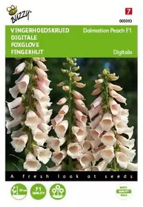 Digitalis, Vingerhoedskruid Gemengd Buzzy Seeds - afbeelding 1