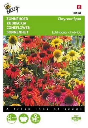 Echinacea, Rode Zonnehoed Buzzy Seeds - afbeelding 1