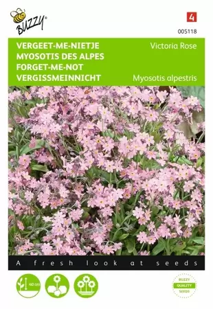 Myosotis, 'vergeet-me-nietje' blauw Buzzy Seeds - afbeelding 1