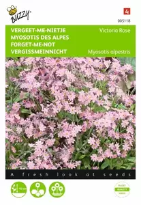 Myosotis, 'vergeet-me-nietje' blauw Buzzy Seeds - afbeelding 1